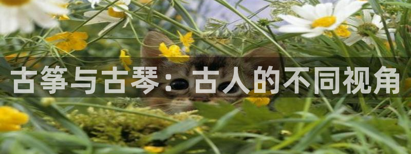 凯发k8官方网娱乐官方