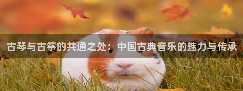 凯发手机官网