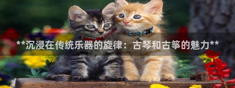 凯发国际app下载：**沉浸在传统乐器的旋律：古琴和古筝的魅