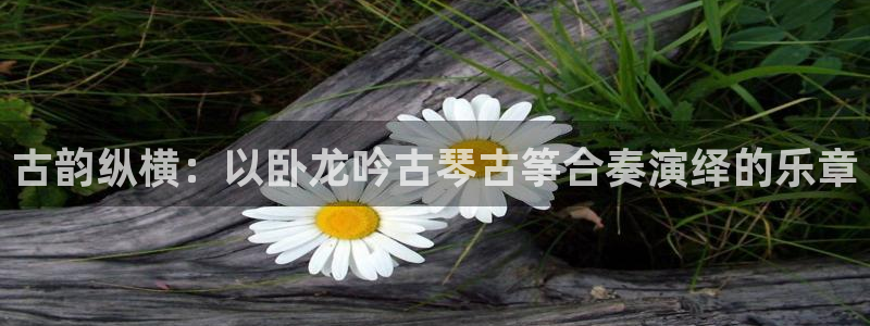 凯发平台开户：古韵纵横：以卧龙吟古琴古筝合奏演绎的乐章