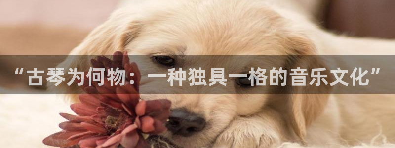 凯发k8娱乐旗舰app下载：“古琴为何物：一种独具一格的音乐