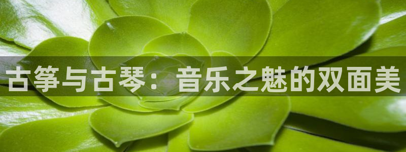 凯发k8官网do选来就送38