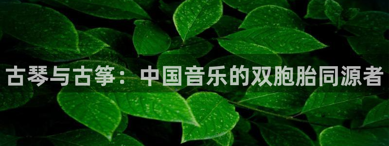 凯发官方首页