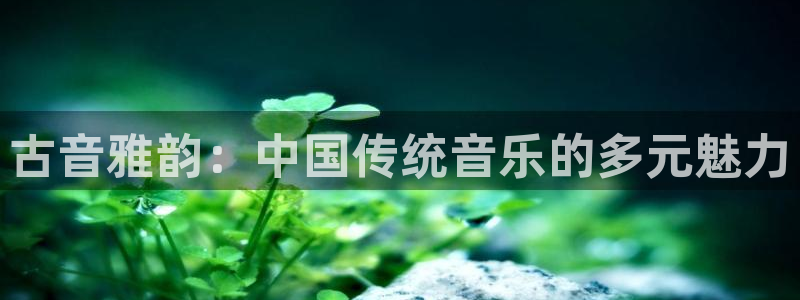 凯发k8手机网页：古音雅韵：中国传统音乐的多元魅力