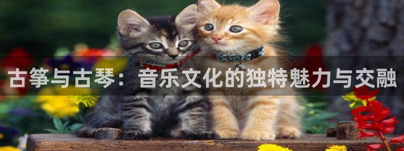 凯发k8国际真人娱乐旗舰厅：古筝与古琴：音乐文化的独特魅力与