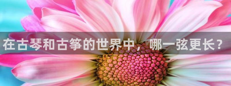 凯发唯一官方网站：在古琴和古筝的世界中，哪一弦更长？