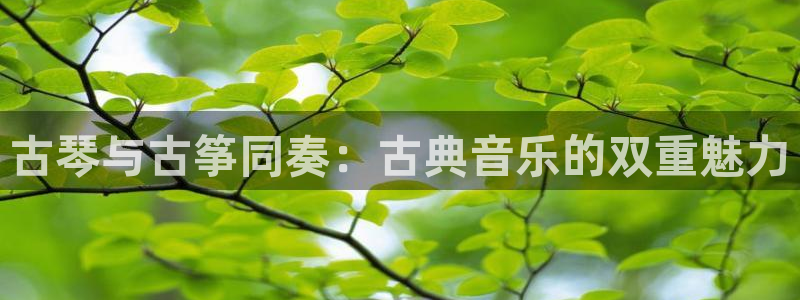 凯发国际怎么赚钱