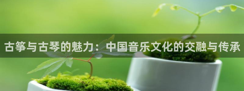凯发线上app苹果版下载：古筝与古琴的魅力：中国音乐文化的交