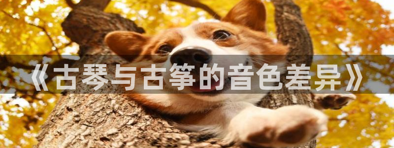 凯发国际平台：《古琴与古筝的音色差异》