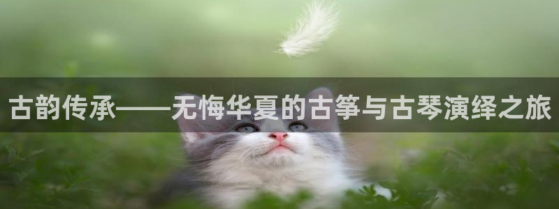 凯发国际网站