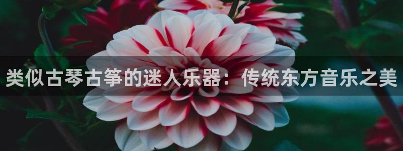 凯发官网地址