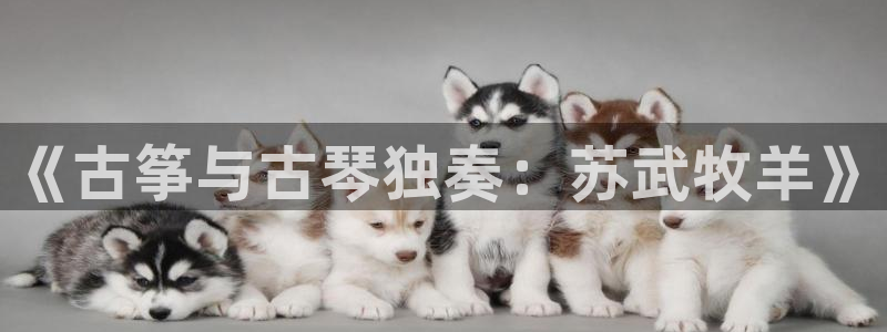 凯发官网登录手机版：《古筝与古琴独奏：苏武牧羊》