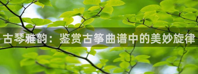 凯发k8是真是假