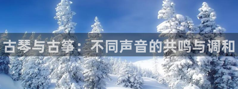凯发国际是什么投资平台：古琴与古筝：不同声音的共鸣与调和