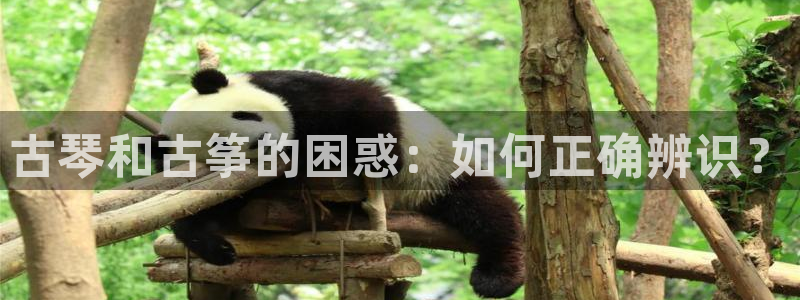 凯发一触即发：古琴和古筝的困惑：如何正确辨识？