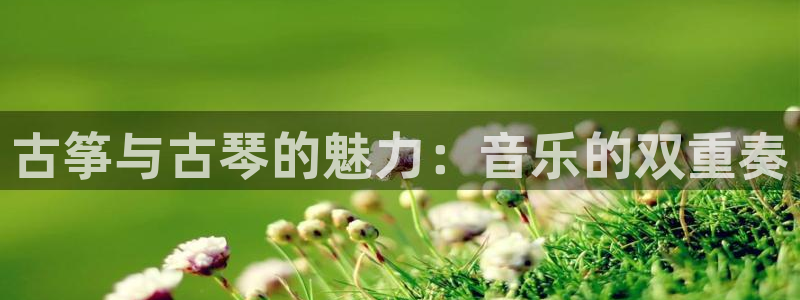 凯发k8国际真人娱乐旗舰厅：古筝与古琴的魅力：音乐的双重奏
