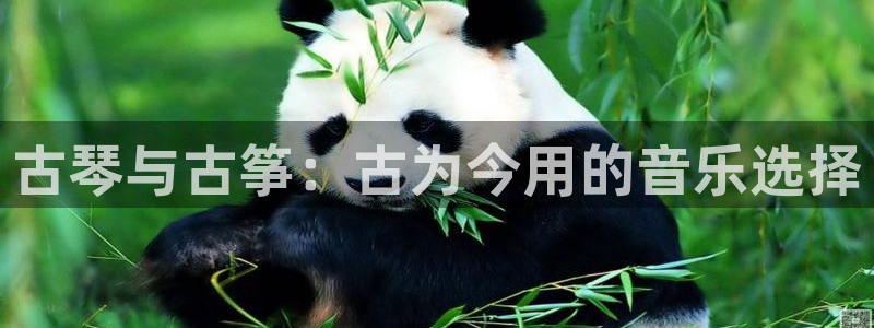 凯发国际网址官网查询
