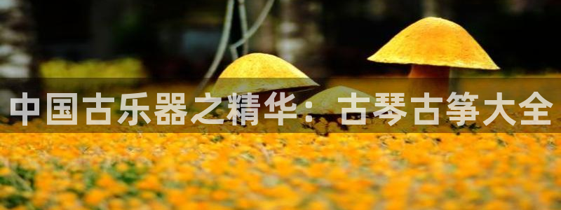 凯发app平台
