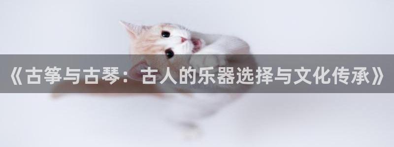 凯发app地址