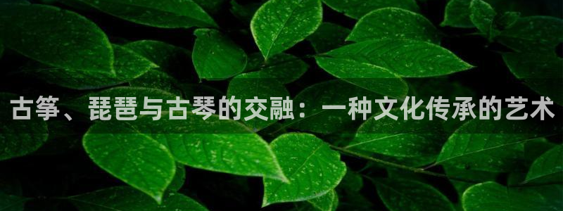 凯发k8555|手机版