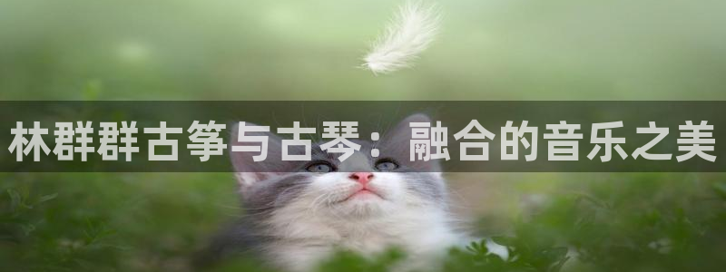 凯发国际平台首页