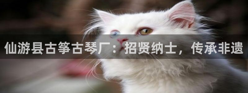 凯发k8国际注册:仙游县古筝古琴厂:招贤纳士,传承非遗