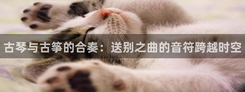 凯发k8娱乐官方版fxzls -安卓3.5:古琴与古筝的合奏
