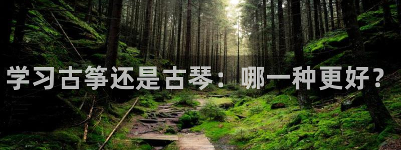 凯发k8娱乐真人旗舰厅客服:学习古筝还是古琴:哪一种更好?