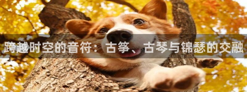 凯发一触即发:跨越时空的音符:古筝、古琴与锦瑟的交融