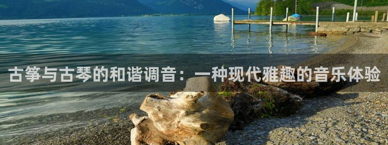 凯发k8国际 不能提款了:古筝与古琴的和谐调音:一种现代雅趣