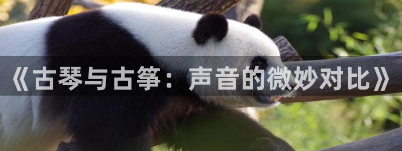 凯发k8网站是多少