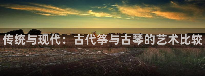 凯发a600丶cc官网首页:传统与现代:古代筝与古琴的艺术比