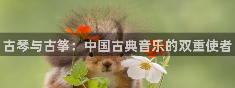 凯发k8手机是正品吗知乎