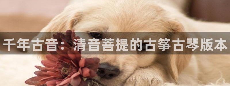 凯发k8娱乐平台能提现吗