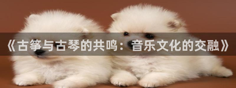 凯发官网平台：《古筝与古琴的共鸣：音乐文化的交融》