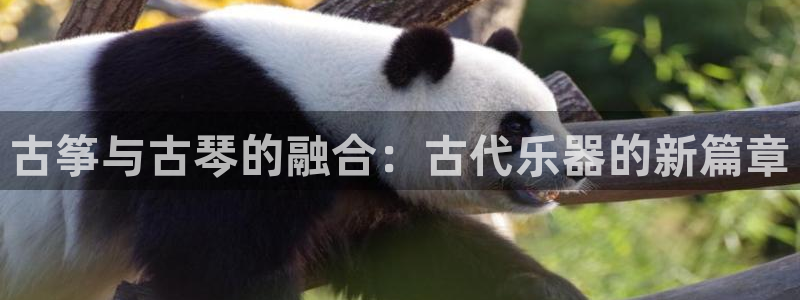 凯发国际是什么投资平台：古筝与古琴的融合：古代乐器的新篇章